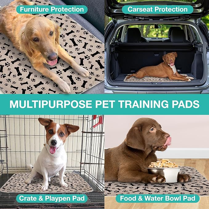 Reusable Pet Urine Proof Mat with Paw Print Design