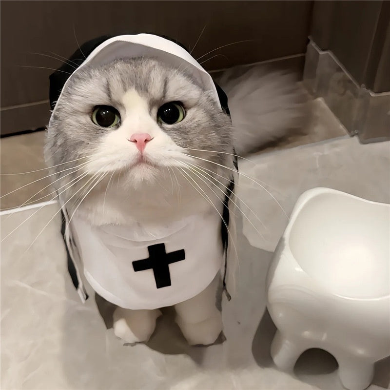 Funny Pet Nun Costume Halloween Dress