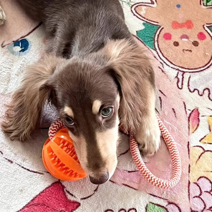 Interactive Dog Treat Ball - Cotton Rope Chew & Training Toy